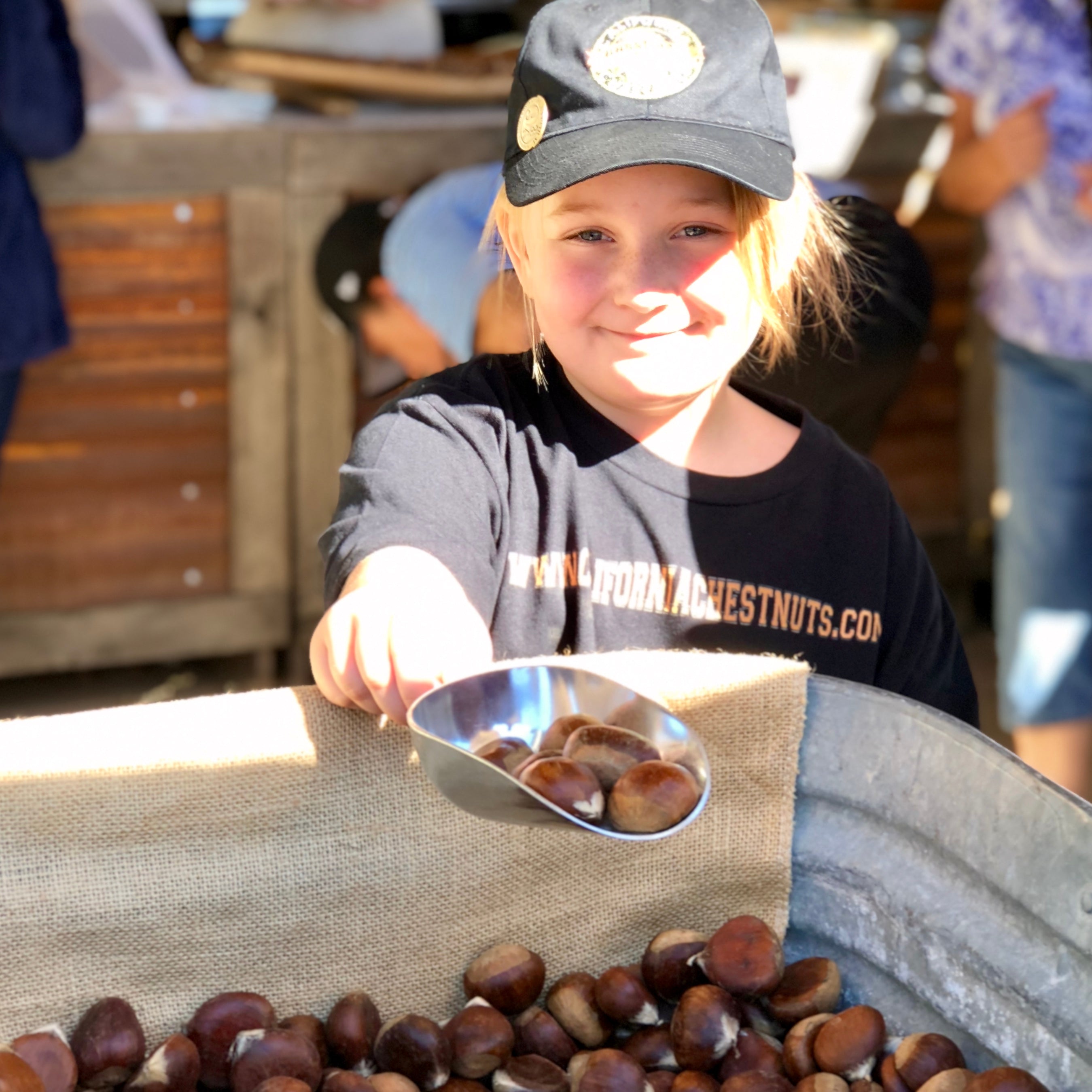 Family Farmed Fresh Chestnuts