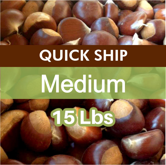 QUICK SHIP | Medium Fresh Sweet Chestnuts – 15 lb Bag