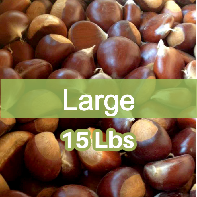 A bag of large whole chestnuts, with a label indicating they are large size and weigh 15 lbs.
